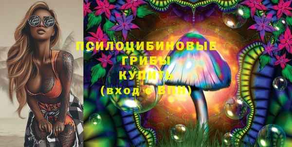 MESCALINE Няндома