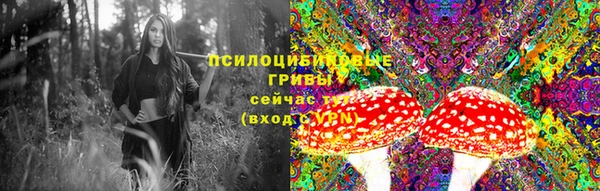 гашик Баксан