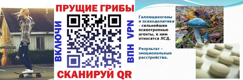 Псилоцибиновые грибы Magic Shrooms  Черепаново 